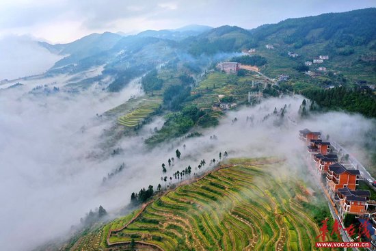 (位于雪峰山腹地的溆浦县葛竹坪镇山背花瑶梯田云雾缭绕,景美如画。郭立亮、李健 摄)