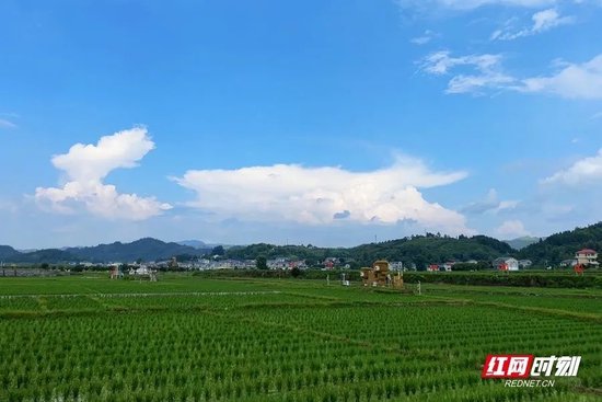会同稻香诗田景区