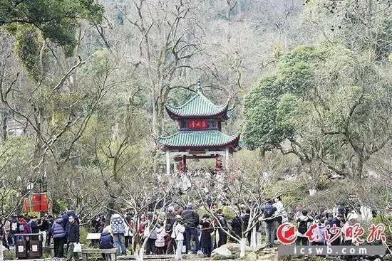 2月22日，岳麓山景区，游客们在爱晚亭享受暖阳。 长沙晚报全媒体记者 邹麟 通讯员 蒋海霞摄
