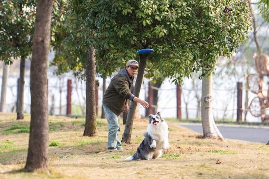 3月11日，市民在常德穿紫河畔与宠物嬉戏。新华社记者 陈思汗 摄