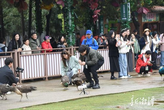 采风团在盘龙大观园呦呦动物乐园拍摄。（全媒体记者 陈旭东 摄）