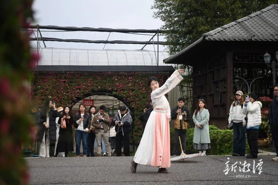 在岳塘区盘龙大观园观看表演。（全媒体记者 陈旭东 摄）