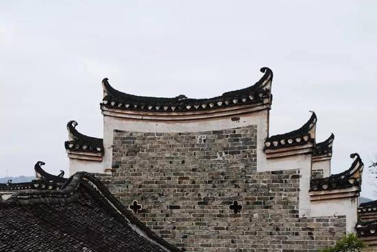 图|诚实的豆土