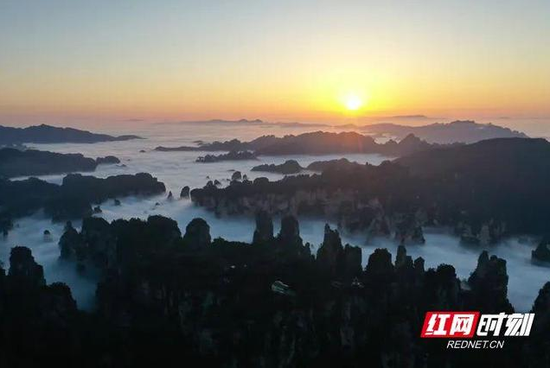 张家界武陵源风景区黄石寨日出云海,峰林间风起云涌,白云翻滚,美不胜收。罗锐 摄
