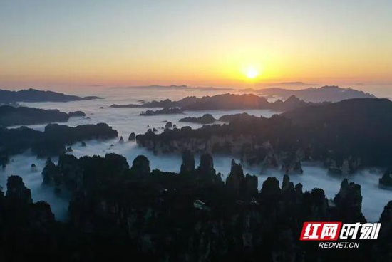 张家界武陵源风景区黄石寨日出云海，峰林间风起云涌，白云翻滚，美不胜收。罗锐 摄