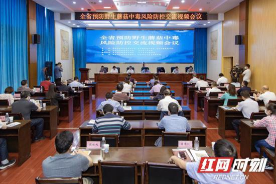 4月30日,湖南省市场监管局召开全省预防蘑菇中毒风险防控交流视频会议。(周欣 摄)