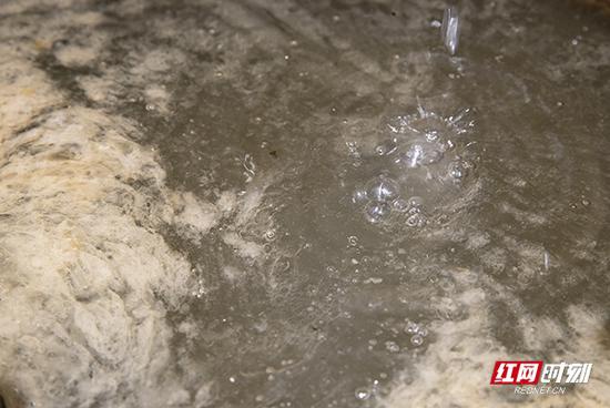 锅炉里出油口开始淌出一滴滴的油水混合物,浮在水上的就是山胡椒油。