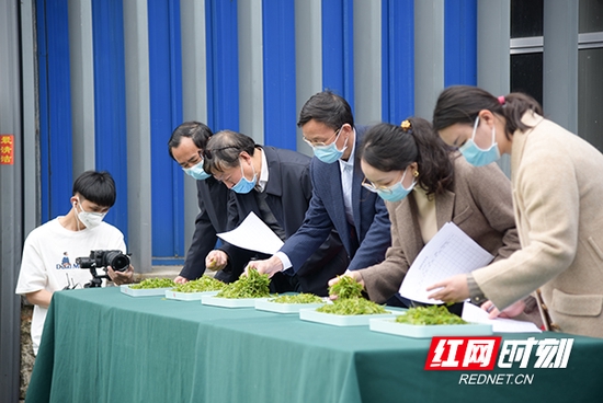 接受省、市茶学专家的评审。
