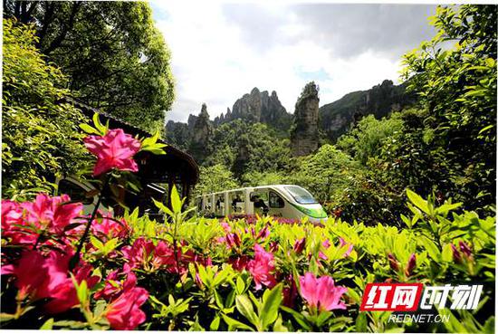 张家界武陵源区年接待量首次突破3000万人次