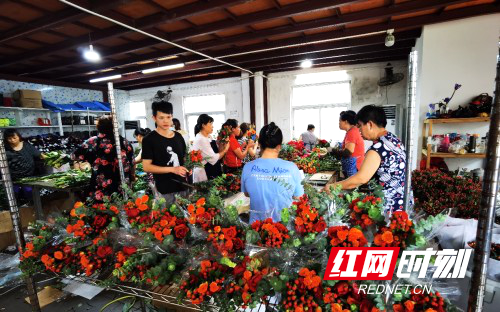 来自埃塞俄比亚AEGG皇后庄园的玫瑰花抵达湖南,备受青睐。