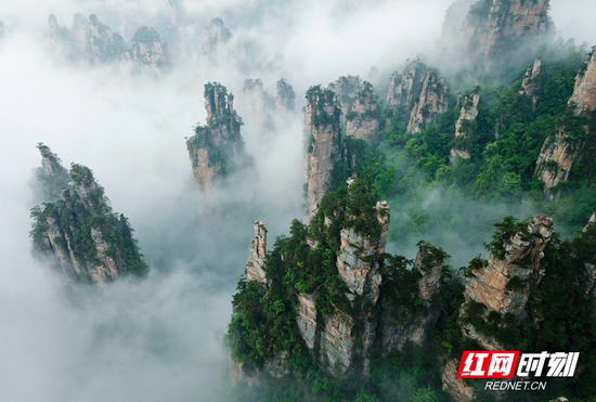 ▲雨洗青山,云绕峰峦,像一幅幅淡墨轻烟的绝美画卷。摄影/伍文 张潘