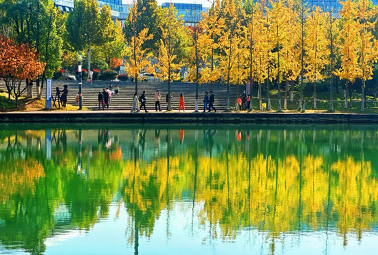 后湖。图/徐行