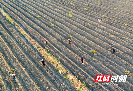 三湘秋分丨昼夜均而寒暑平 雨量少而夜更凉