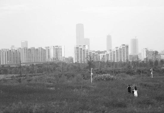 10月3日,长沙洋湖湿地公园,游人相对较少。图/记者陈正