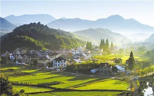 委员说|“小猪佩奇”刷屏 但生猪养殖能否人见人爱？