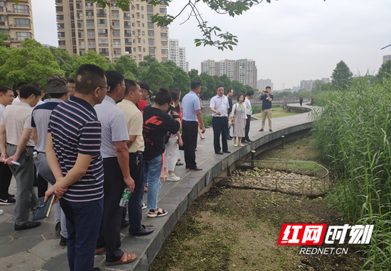常德环保志愿者和监督员考察江北城区水系整治工作