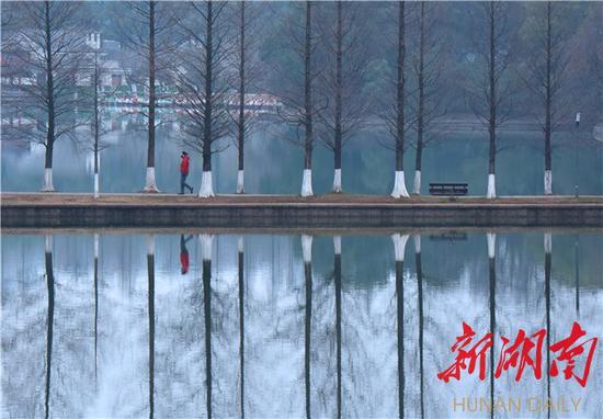 (2月3日下午,一位市民漫步在通往烈士公园年嘉湖湖心的小径上。范远志摄)
