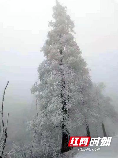 东山峰雪景。