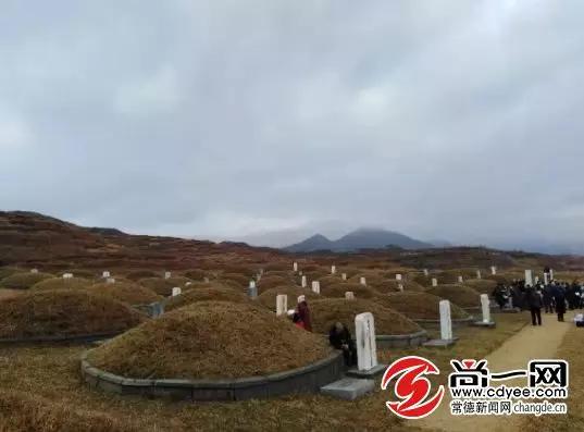 曾晚喜去年赴朝鲜扫墓,新发现11位常德籍烈士无人祭奠。图片由曾晚喜提供