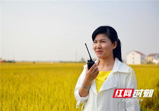 省人大代表董敏芳正在用对讲机指挥田间作业。