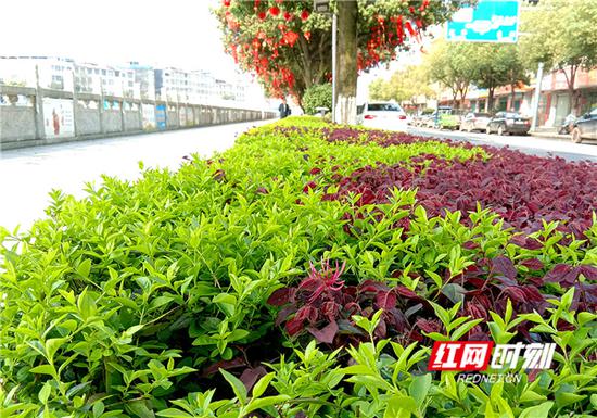 今日上午，湖南大部分地区迎来高温晴天。谢万波 摄