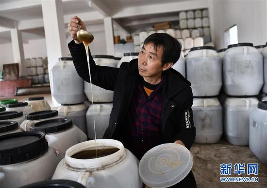 袁风格在浏阳市龙伏镇黄桥村多友园种养专业合作社的仓库里查看储藏的蜂蜜(3月5日摄)。新华社记者 李尕 摄