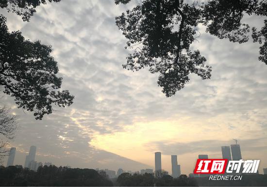 今日天气晴朗,但明显感觉有些雾蒙蒙。 湖南省气象局供图