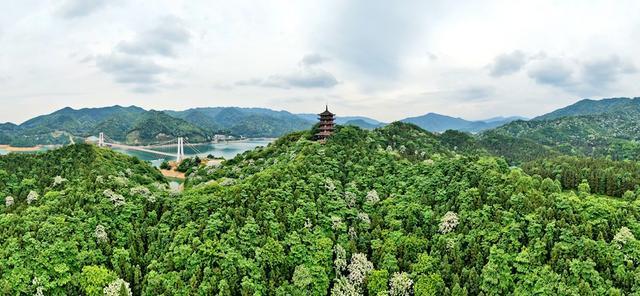 攸县酒仙湖风光 谢明/摄影