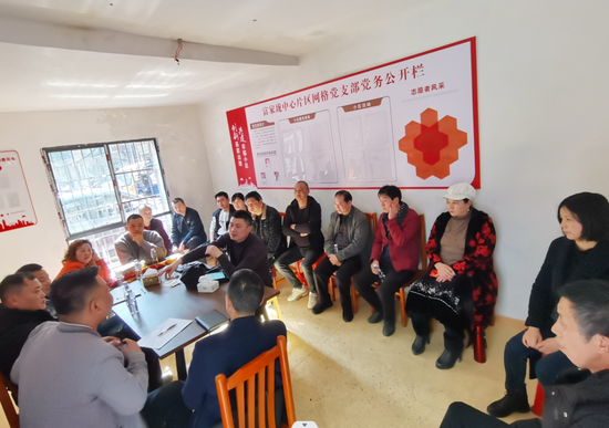 富家垅中心网格党支部商议引进物业事宜。
