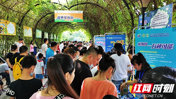 城市森林自然科普集市在湖南省森林植物园开集，吸引了众多市民。