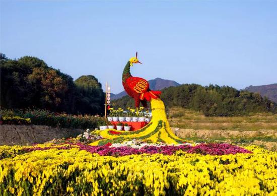 “凤凰”于花海中俯瞰整个菊展会
