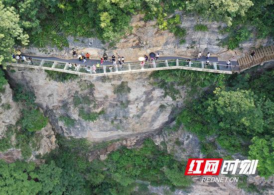 2020年7月30日,游人在张家界大峡谷景区体验悬崖玻璃栈道游览项目。