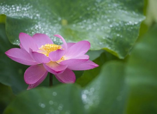 道县濂溪故里景区。蒋克青 摄