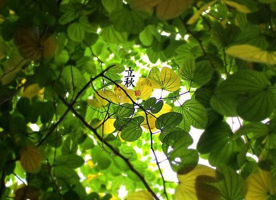 湖南发布高温黄色预警 长沙将人工降雨送清凉