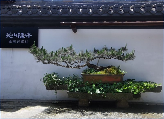 关山健峰现代农庄