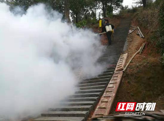 “胖乎乎”蚁后被生擒！南岳林场捣毁百年白蚁巢穴