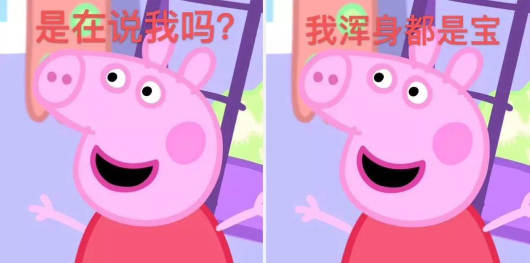 委员说|“小猪佩奇”刷屏 但生猪养殖能否人见人爱？