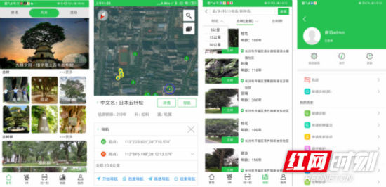 湖南古树名木信息管理系统安卓版APP界面截图。