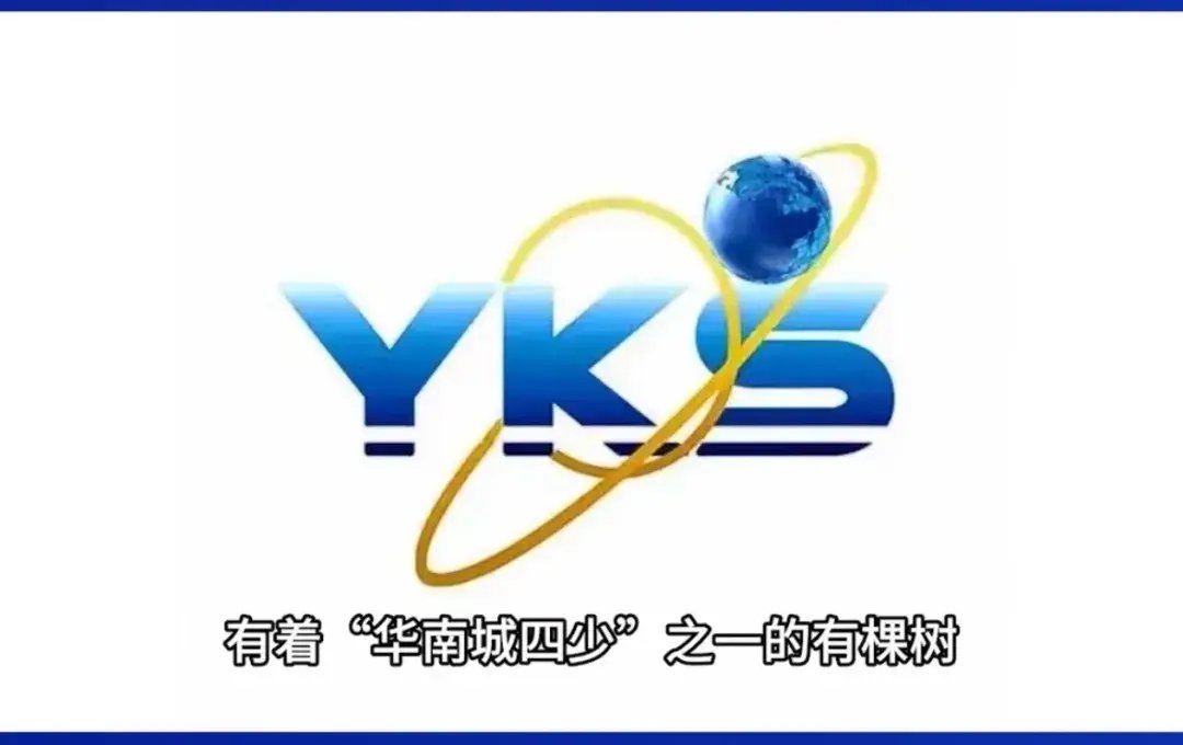 行云王维的跨境野心:接盘“有棵树”反转困境,联手国资剑指稳定币新基建