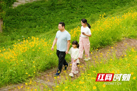 市民牵着孩子在花径中漫步。