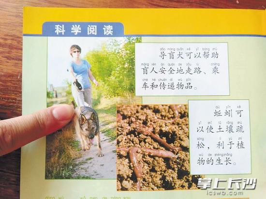 罗格说,这张关于导盲犬的配图,犬种和导盲犬装备都存在不科学之处。 受访者供图