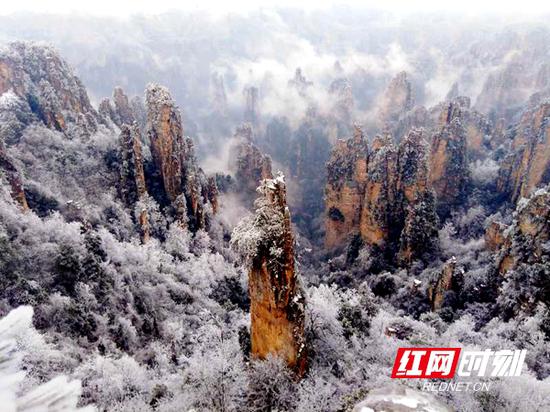 近几日，张家界武陵源银装素裹，分外妖娆。邓道理 摄