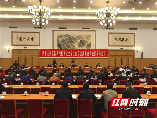 3月3日下午，湖南代表团召开第一次全体会议。