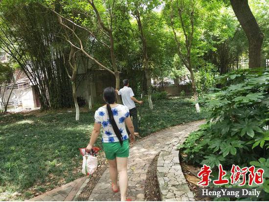 ▲捕蝉人践踏绿地花草