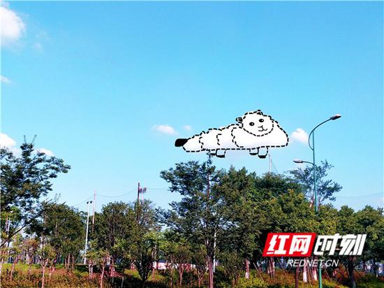 热化了的长沙①：你看见天上的云朵了吗