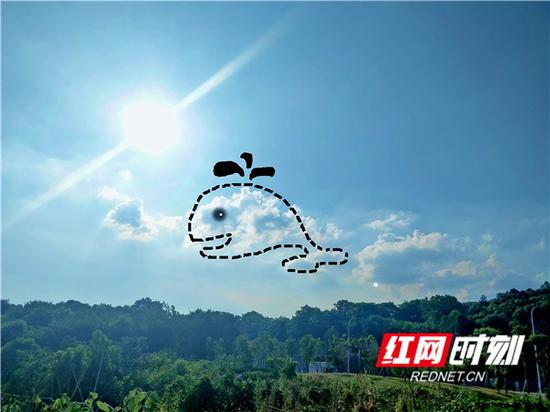 热化了的长沙①：你看见天上的云朵了吗