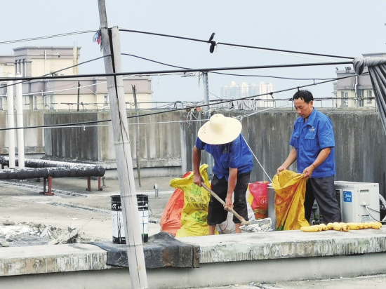 天降六个拳头大水泥块 砸裂小车玻璃居民担惊受怕
