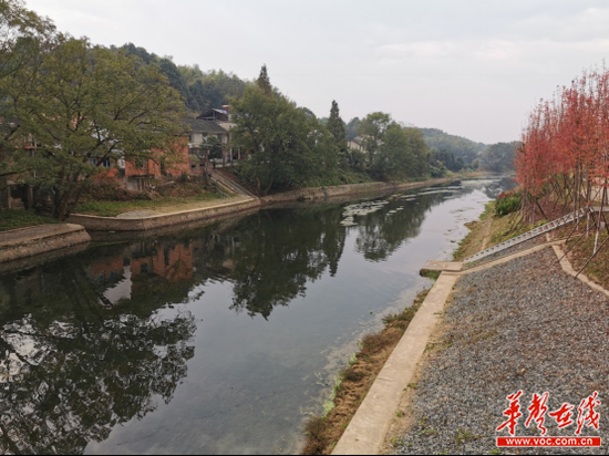 昔日的烂泥塘改善成如今清澈见底的金井河