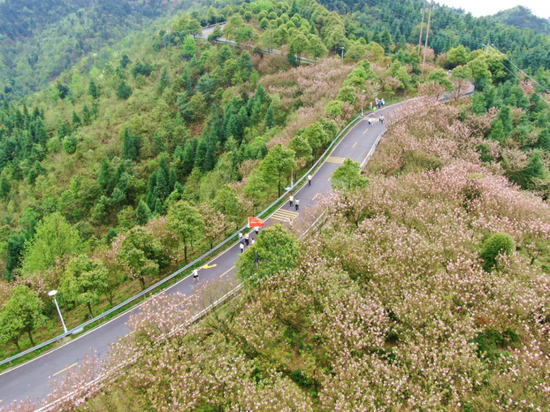 徒步雪峰山,怀化“森”呼吸。