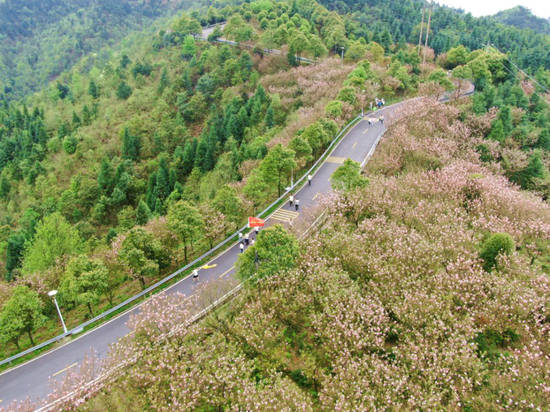  徒步雪峰山，怀化“森”呼吸。